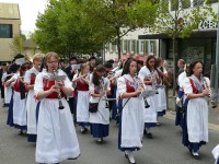 Kreismusikfest 2015